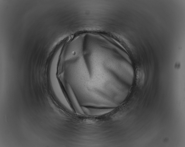 X0000092270684200710051340