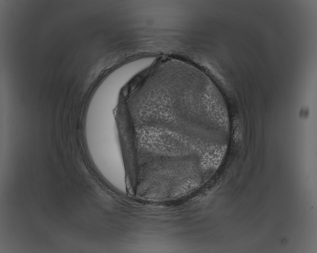 X0000092270685200710051340