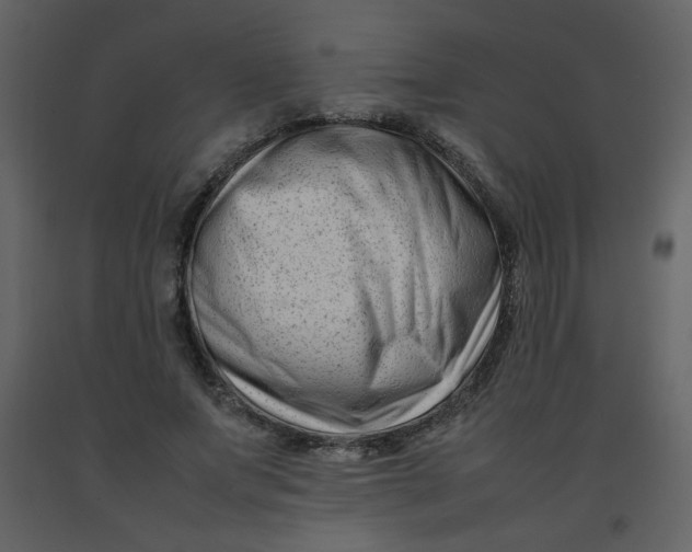 X0000092270687200710051340