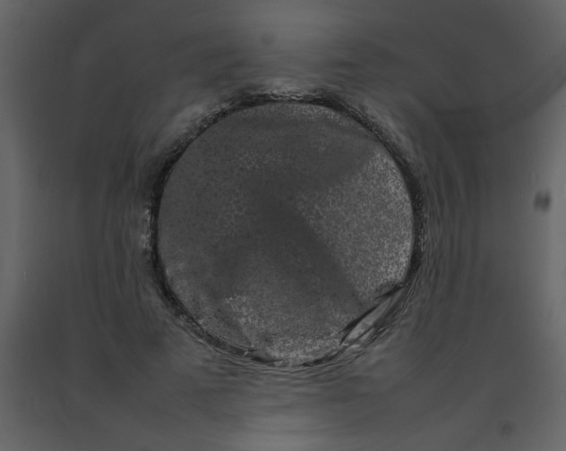 X0000092270689200710051340