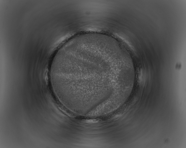 X0000092270692200710051340