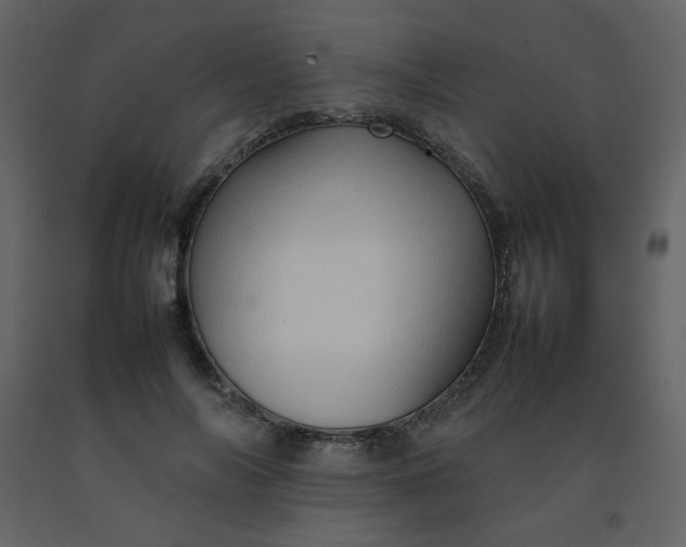 X0000092270694200710051340