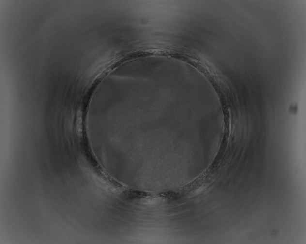 X0000092270696200710051340