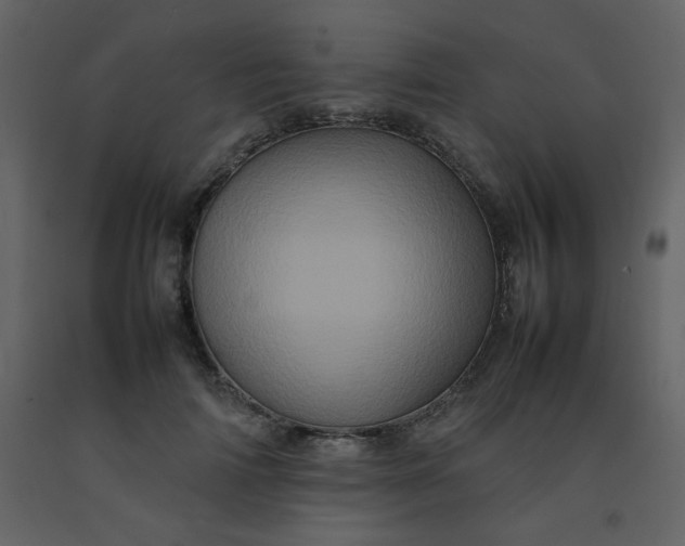 X0000092270698200710051340