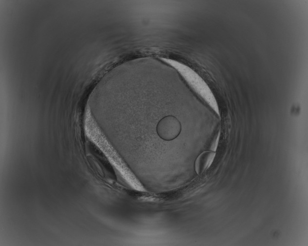 X0000092270699200710051340