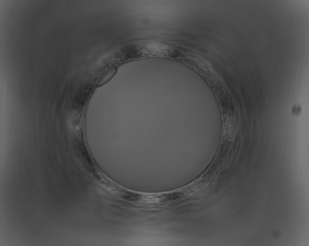 X0000092270701200710051340