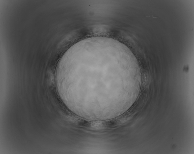 X0000092270705200710051340