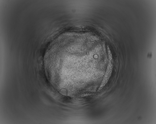 X0000092270707200710051340