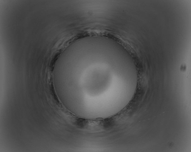 X0000092270709200710051340