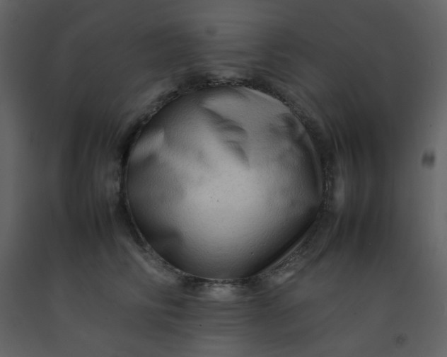 X0000092270710200710051340