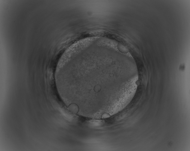 X0000092270711200710051340