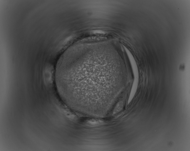 X0000092270712200710051340