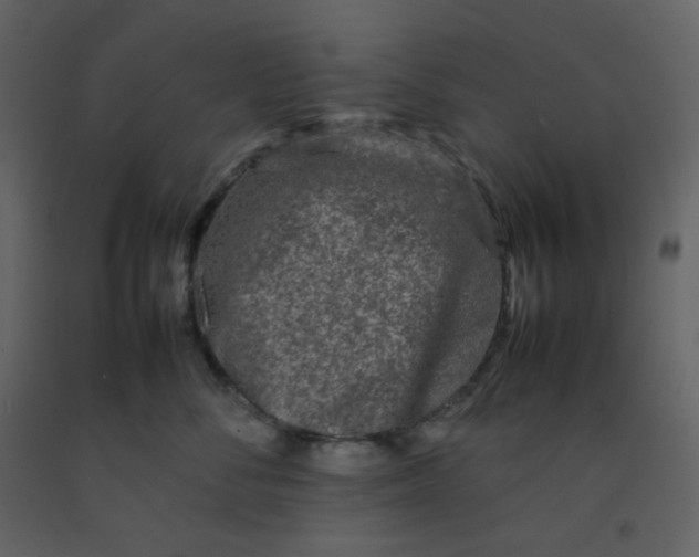 X0000092270716200710051339