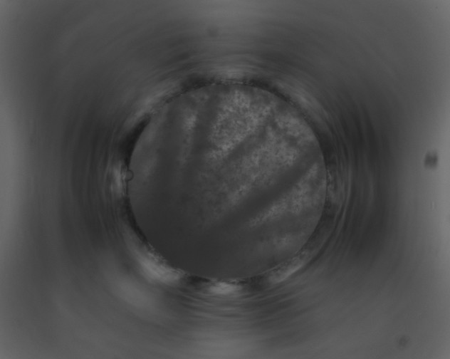 X0000092270718200710051339