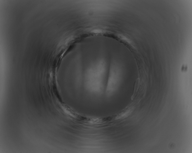 X0000092270720200710051339