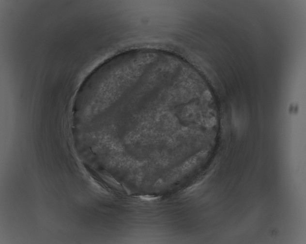 X0000092270721200710051338