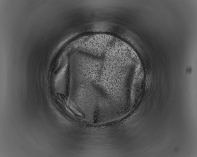 X0000092270722200710051338