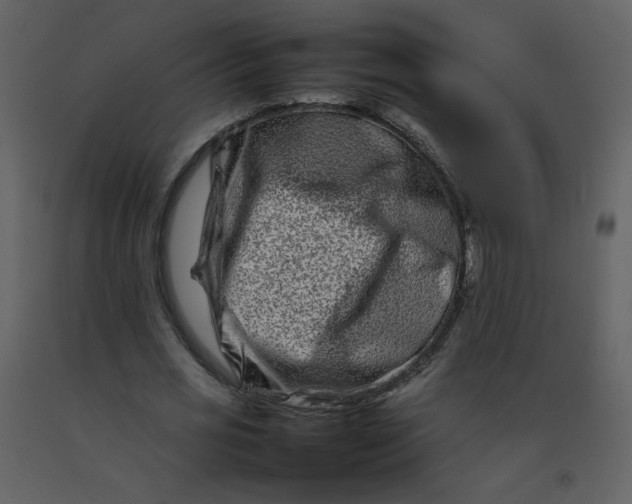 X0000092270725200710051339