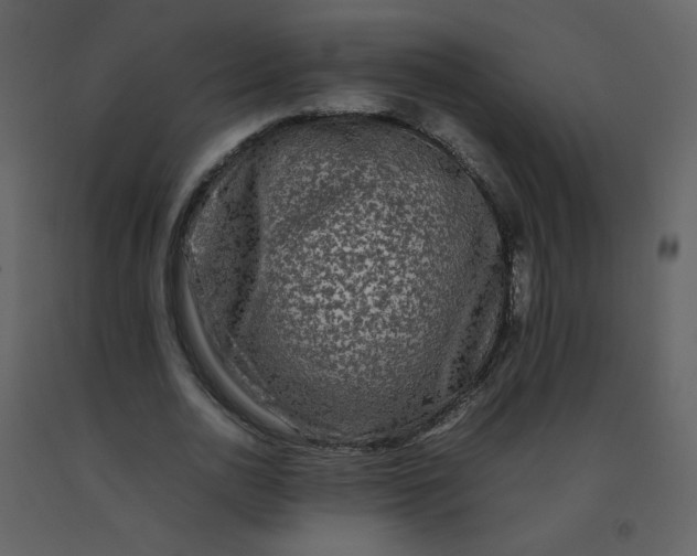 X0000092270726200710051339