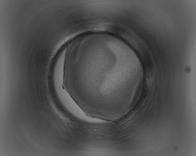 X0000092270728200710051339