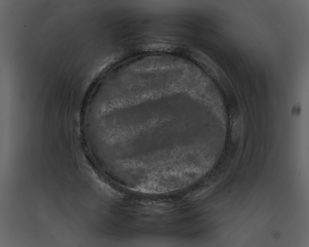 X0000092270729200710051339