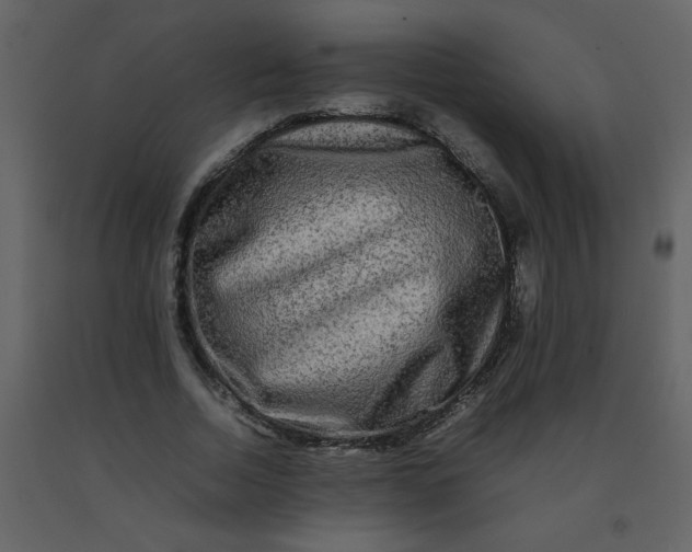 X0000092270730200710051339