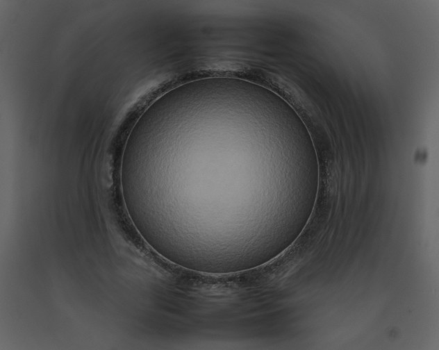 X0000092270731200710051339