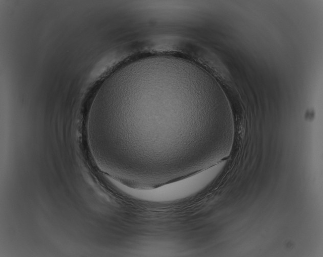 X0000092270732200710051339