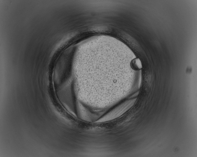 X0000092270734200710051339