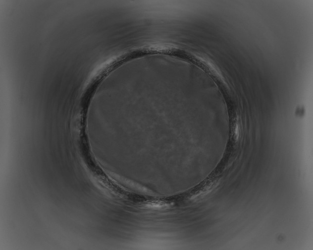 X0000092270736200710051339