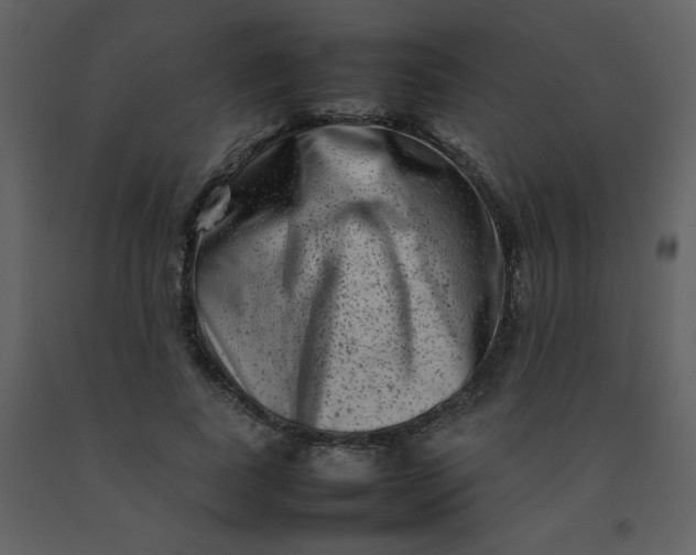 X0000092270739200710051339