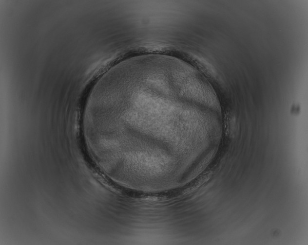 X0000092270740200710051339