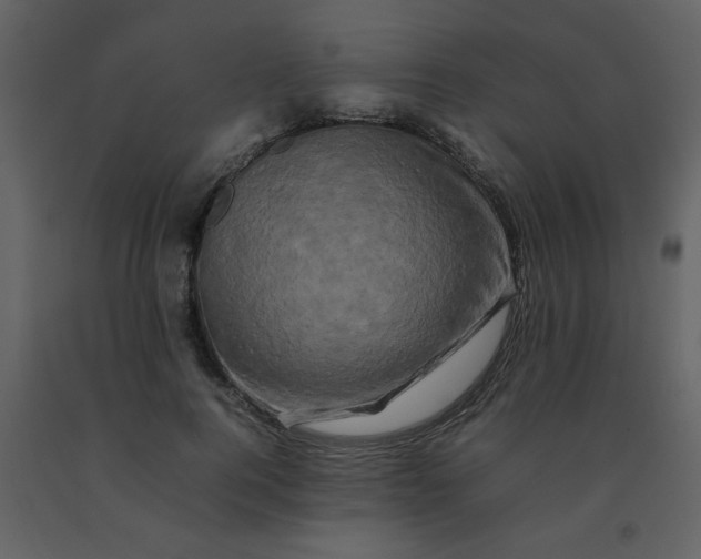 X0000092270744200710051339