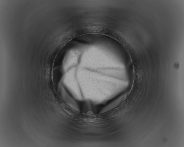 X0000092270745200710051339