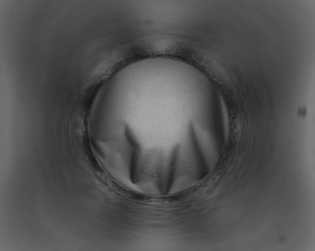 X0000092270746200710051339