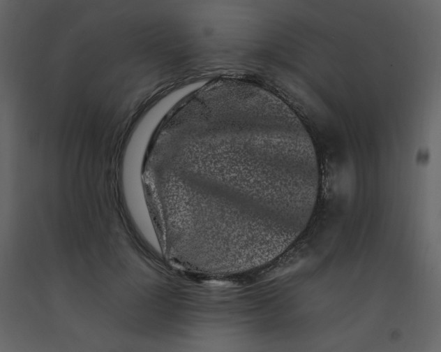 X0000092270748200710051339