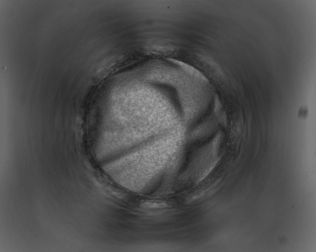 X0000092270749200710051339