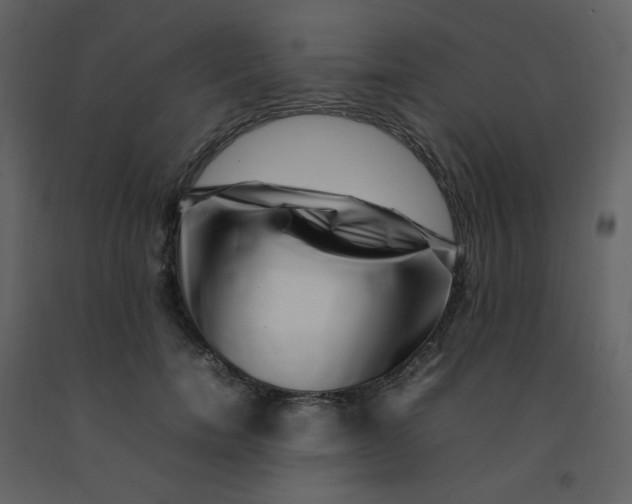 X0000092270750200710051339