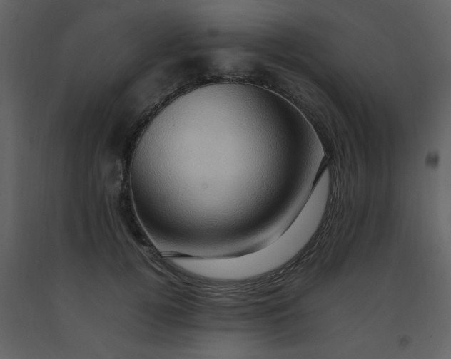 X0000092270752200710051339