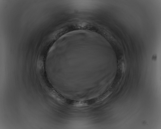 X0000092270754200710051339