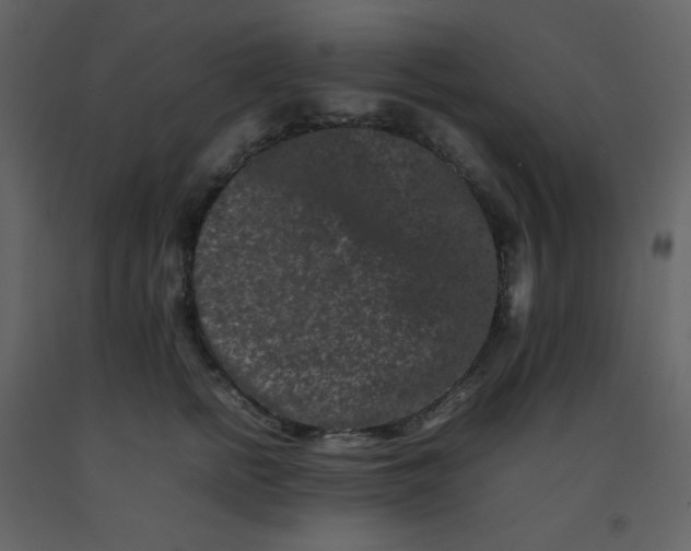 X0000092270758200710051339