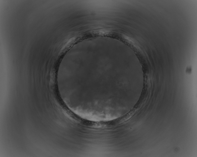 X0000092270760200710051339