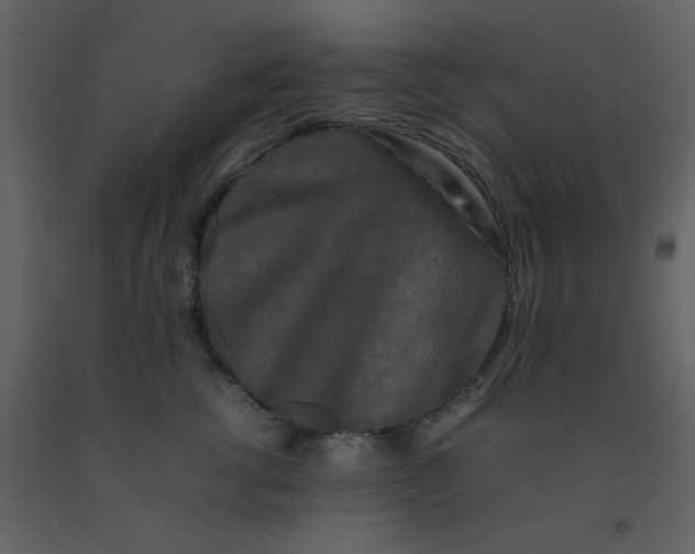 X0000092270762200710051339