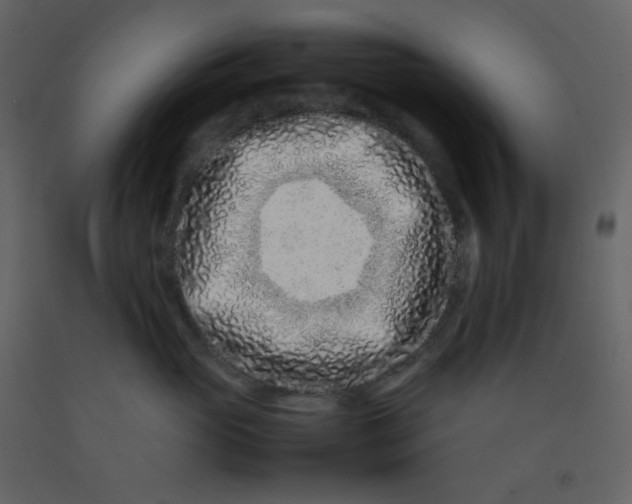 X0000092270765200710051339