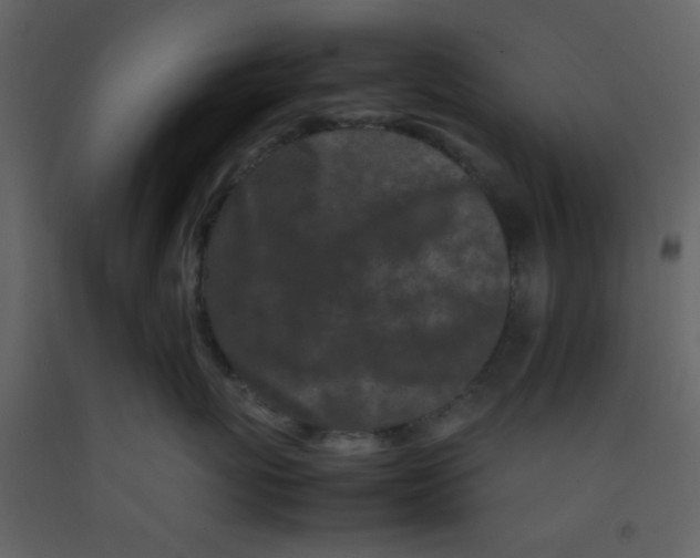 X0000092270767200710051339