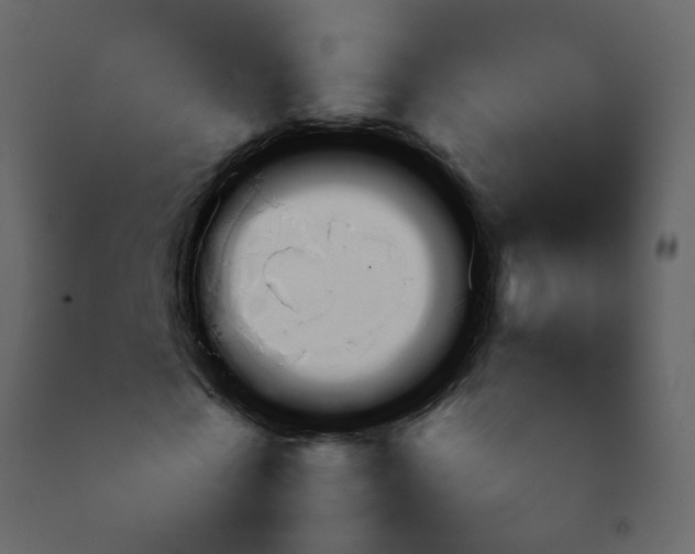 X0000092270769200710051338