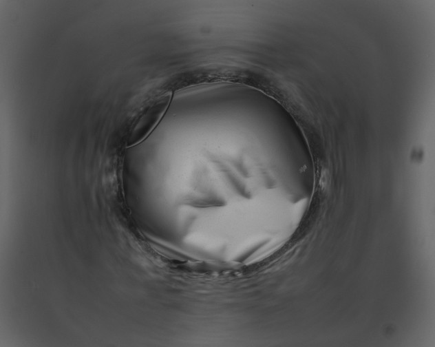 X0000092270771200710051338