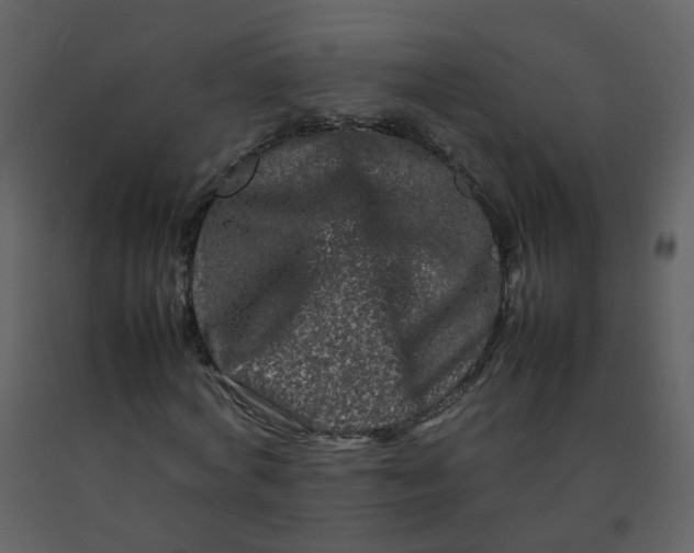 X0000092270772200710051338