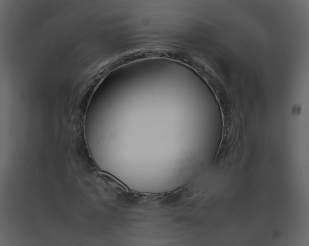 X0000092270773200710051338