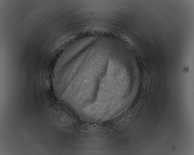 X0000092270774200710051338